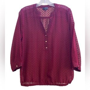 The Limited Sheer Dot Blouse